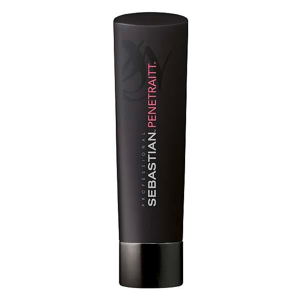 Sebastian Professional Penetraitt Shampoo